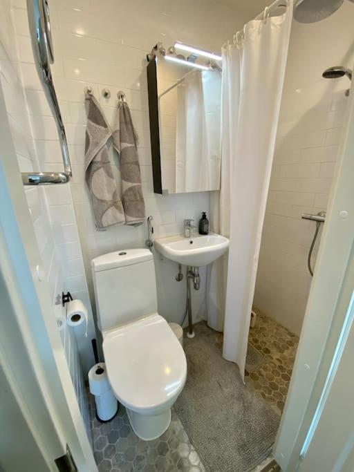 Valoisa Ja Taeysin Remontoitu Huoneisto Apartment Helsinki